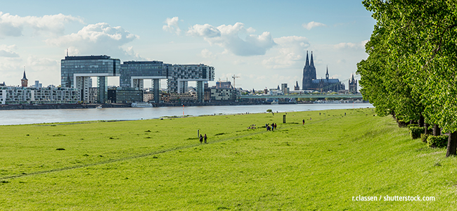 Blick auf den Rhein und den Kölner Dom