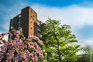 Gebäude der WiSo-Fakultät im Frühling